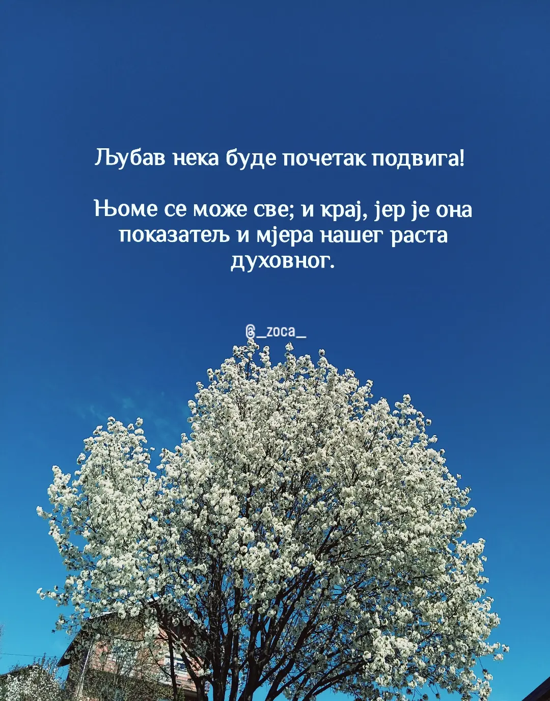 Four spiritual maxims from the book "Jasika"